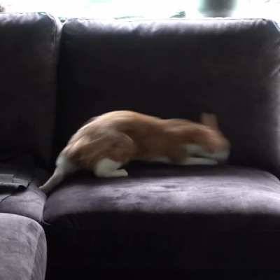 Maia is hunting invisible creatures