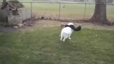 The perfect tackle