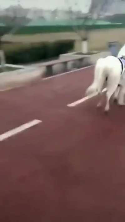 Out of the way!