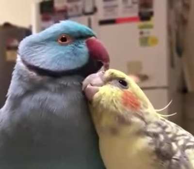 I will always love youuuuu! ?
