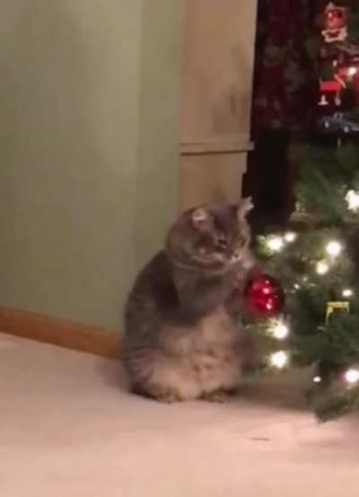 Meow?irl