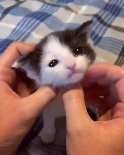 What a little cutie