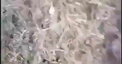 Training exercise goes wrong