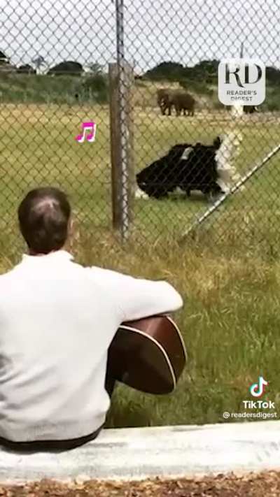 Fred loves music