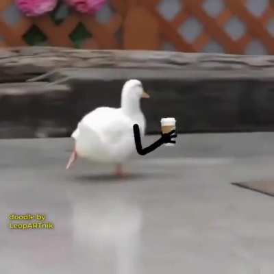 Here's your coffee