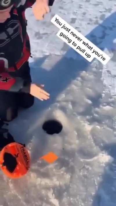Random fishing?