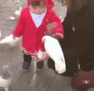 Cute kid.