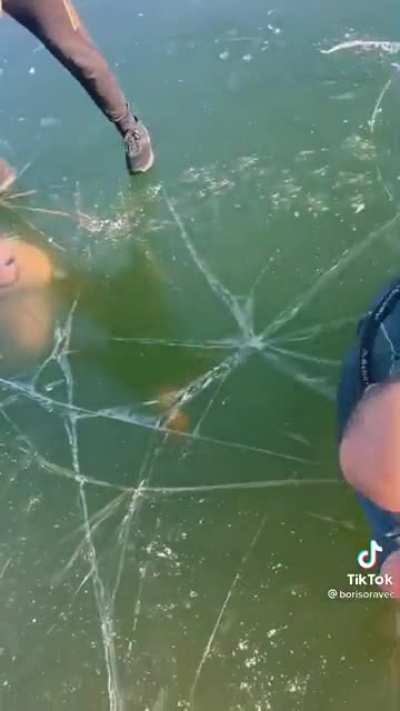 Man gets disoriented while swimming under the ice