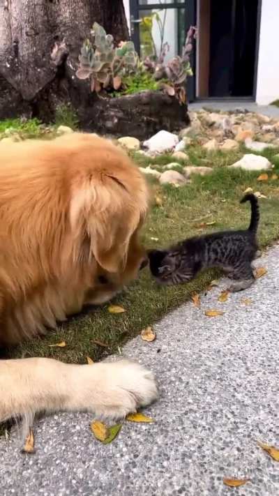 Size doesn’t matter, they can be friends!