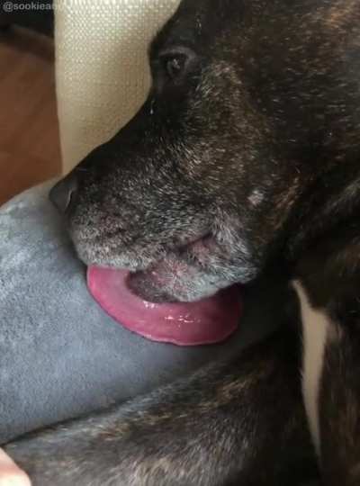 Ivy and her advanced lick