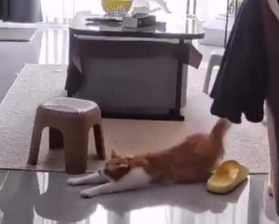 Weekend mood..???