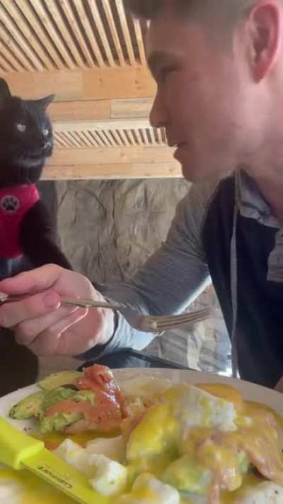 “Everything you eat... everything you drink... I’ll be watching you"...
