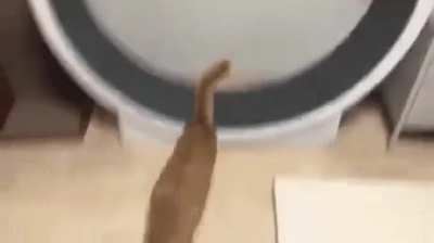 3 sec on my first day at the gym