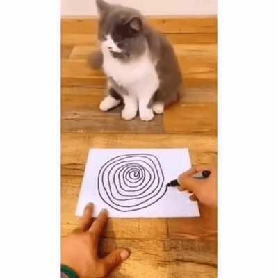 Spiraling Hypnosis ?