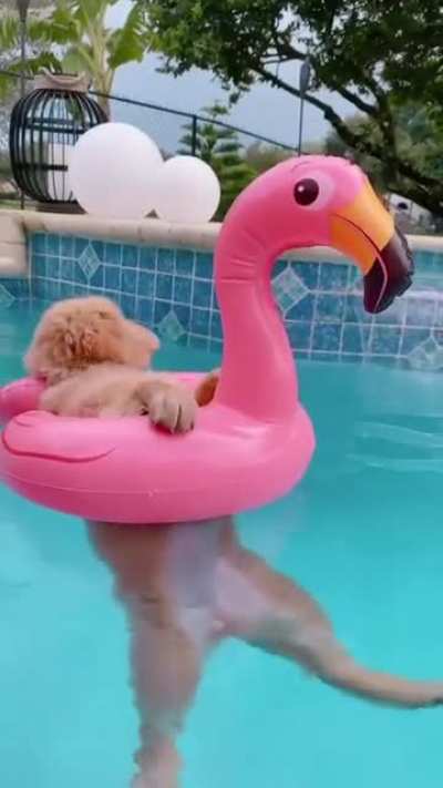 She truly enjoying the water ?
