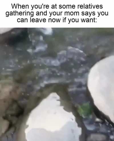 Is this a trick? can i actually leave?