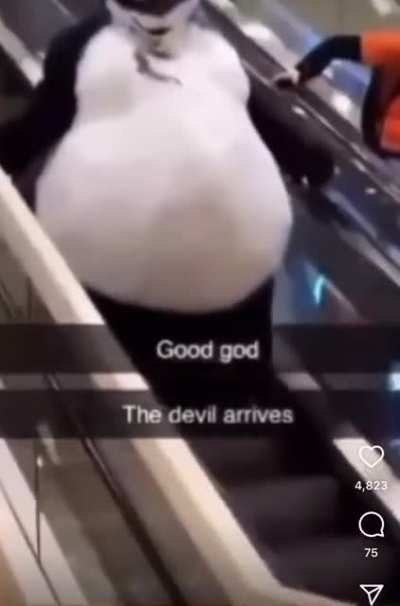 oh no