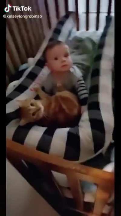 What were they planning