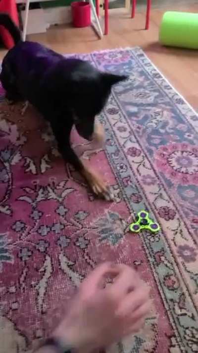 She gets really jazzed about fidget spinners ?‍♀️