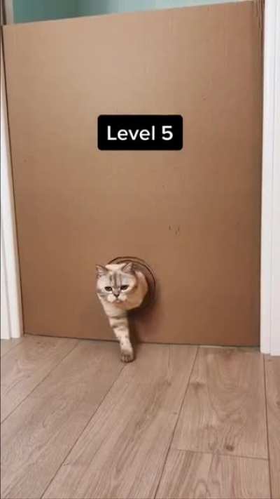 When catculation fails