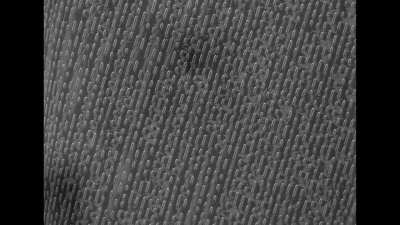 Vinyl LP, CD, &amp; DVD under Electron Microscope