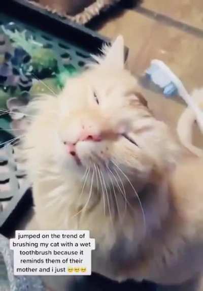 Had to share