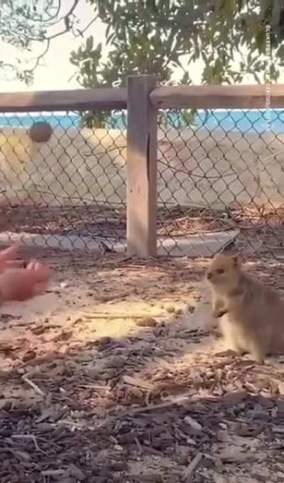 But I want it..