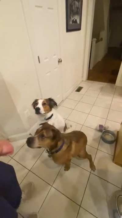 Who’s your brother?