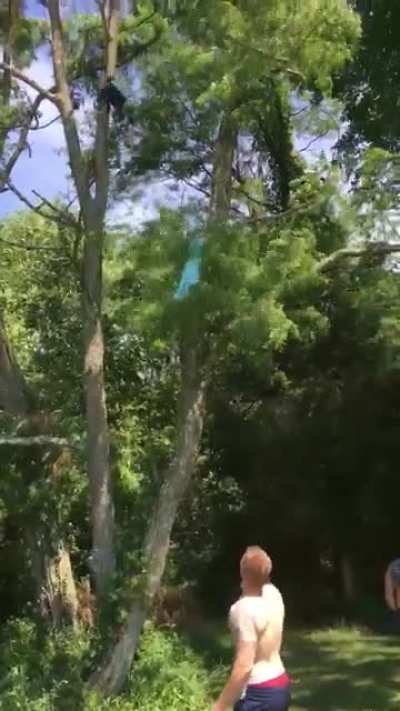 WCGW using a bag to knock something out of a tree
