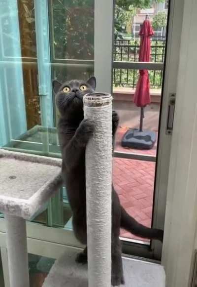 Just look his face..he is scared a lot