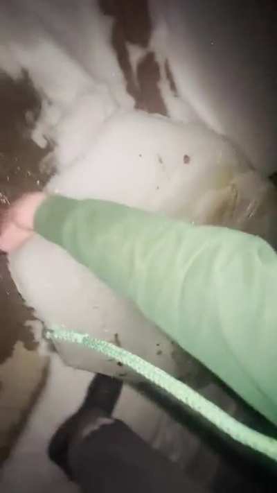 Thicc Ice