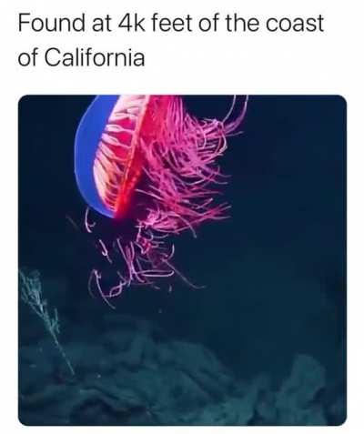 THAT’S BEAUTIFUL