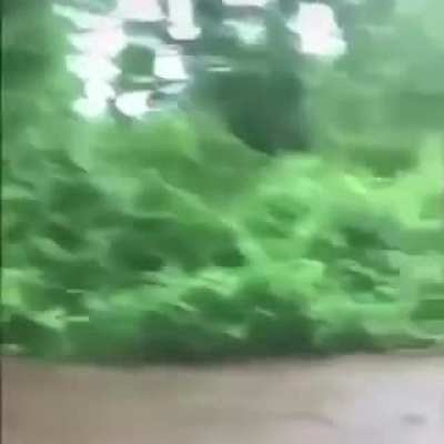 Interesting