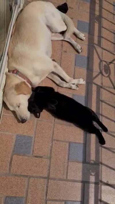 Unrequited love...