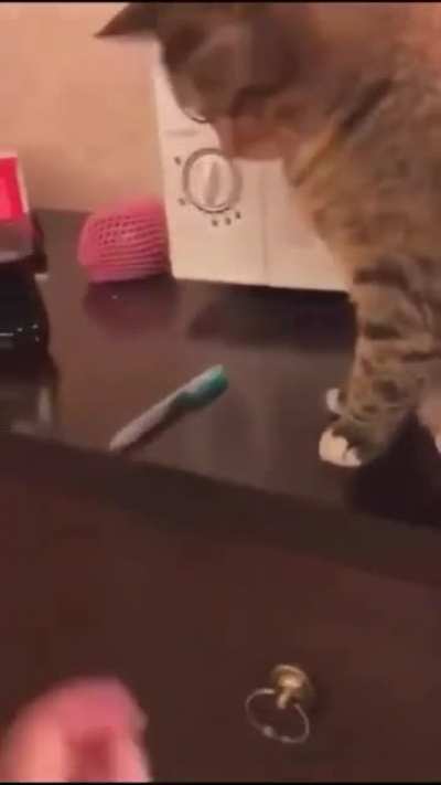 That stay on the floor, hooman
