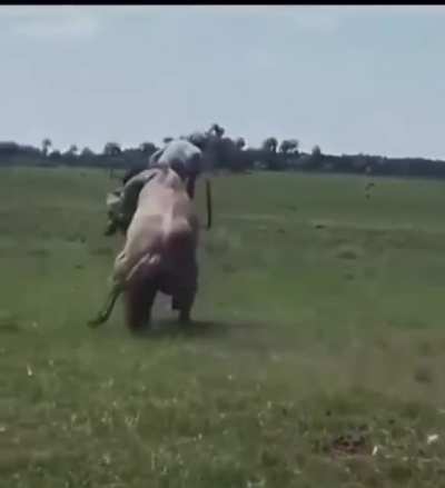 I'm a cowboy