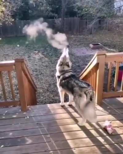 Hey, you know that, i don't smoke..?‍♀️?