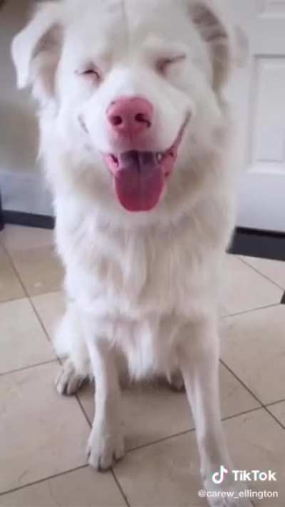 Hope this makes your day better ???