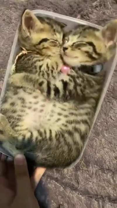 Made me smile
