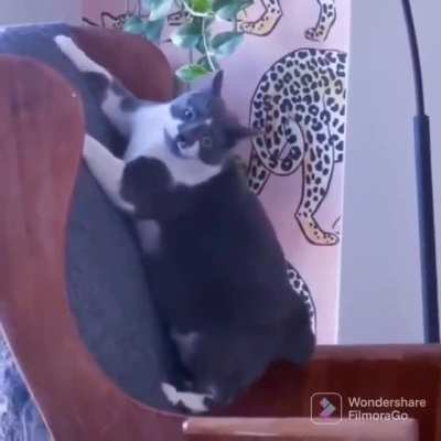 Derp mode: ON