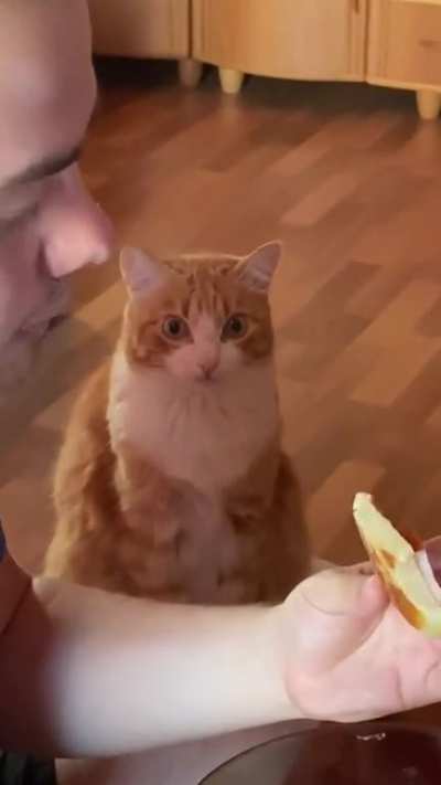 The "You're not going to share??" Eye Twitch