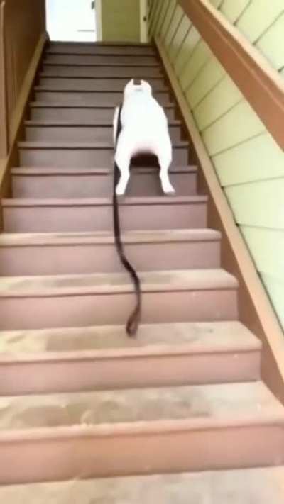 That's one way of doing it