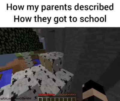 Just take the bus