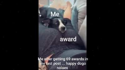 I m a happy dogo