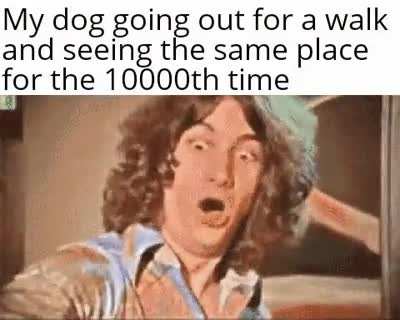 He's a good boi tho
