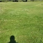 run Forrest RUN