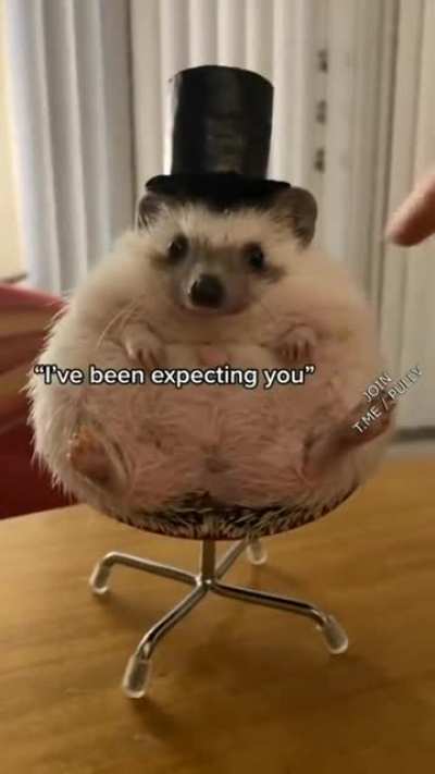 "We've been waiting for you."
