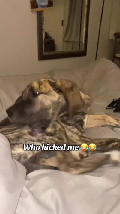 Who kicked him? ??