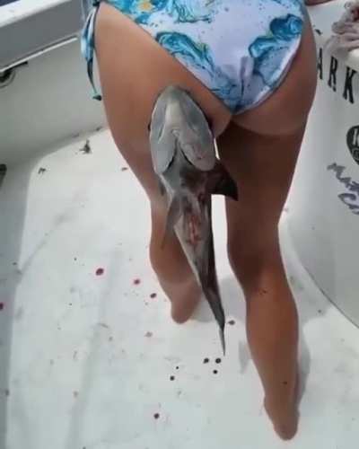 ? This Fish Knows what’s up