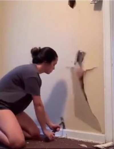 A little renovation